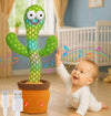 Smarty Cactus – Kaktus Pričalica